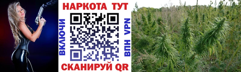 Наркотические вещества Мурино Alpha-PVP  Галлюциногенные грибы  Кокаин 