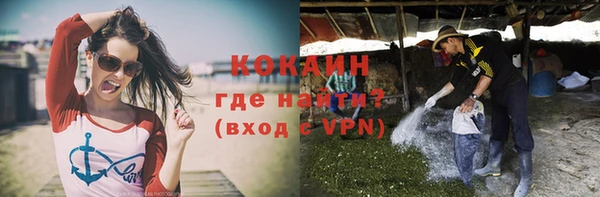 крисы Белокуриха